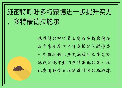 施密特呼吁多特蒙德进一步提升实力，多特蒙德拉施尔